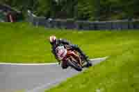 brands-hatch-photographs;brands-no-limits-trackday;cadwell-trackday-photographs;enduro-digital-images;event-digital-images;eventdigitalimages;no-limits-trackdays;peter-wileman-photography;racing-digital-images;trackday-digital-images;trackday-photos